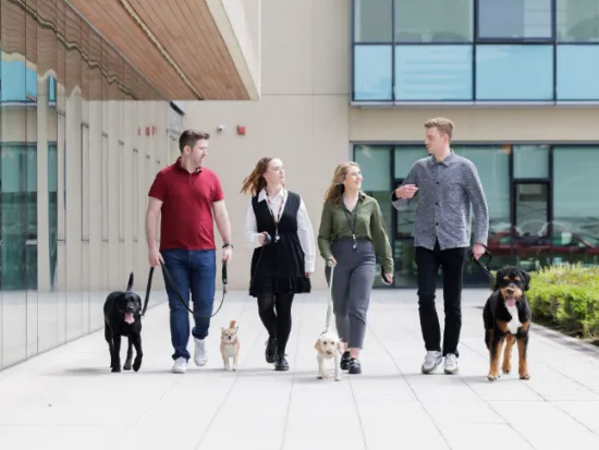 Mars Better Cities for Pets